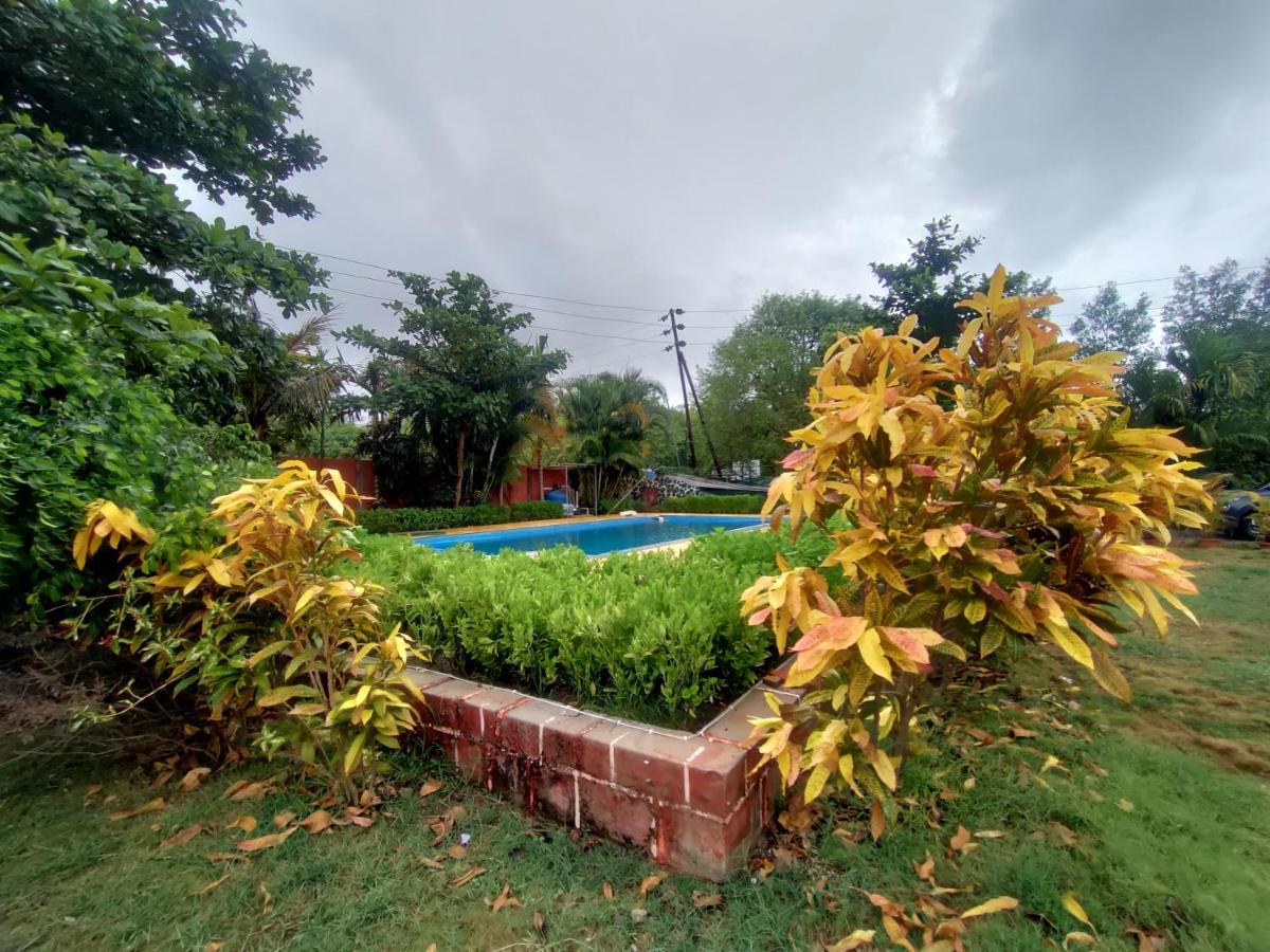 אליבג Opulence Resort Awas Alibaug מראה חיצוני תמונה